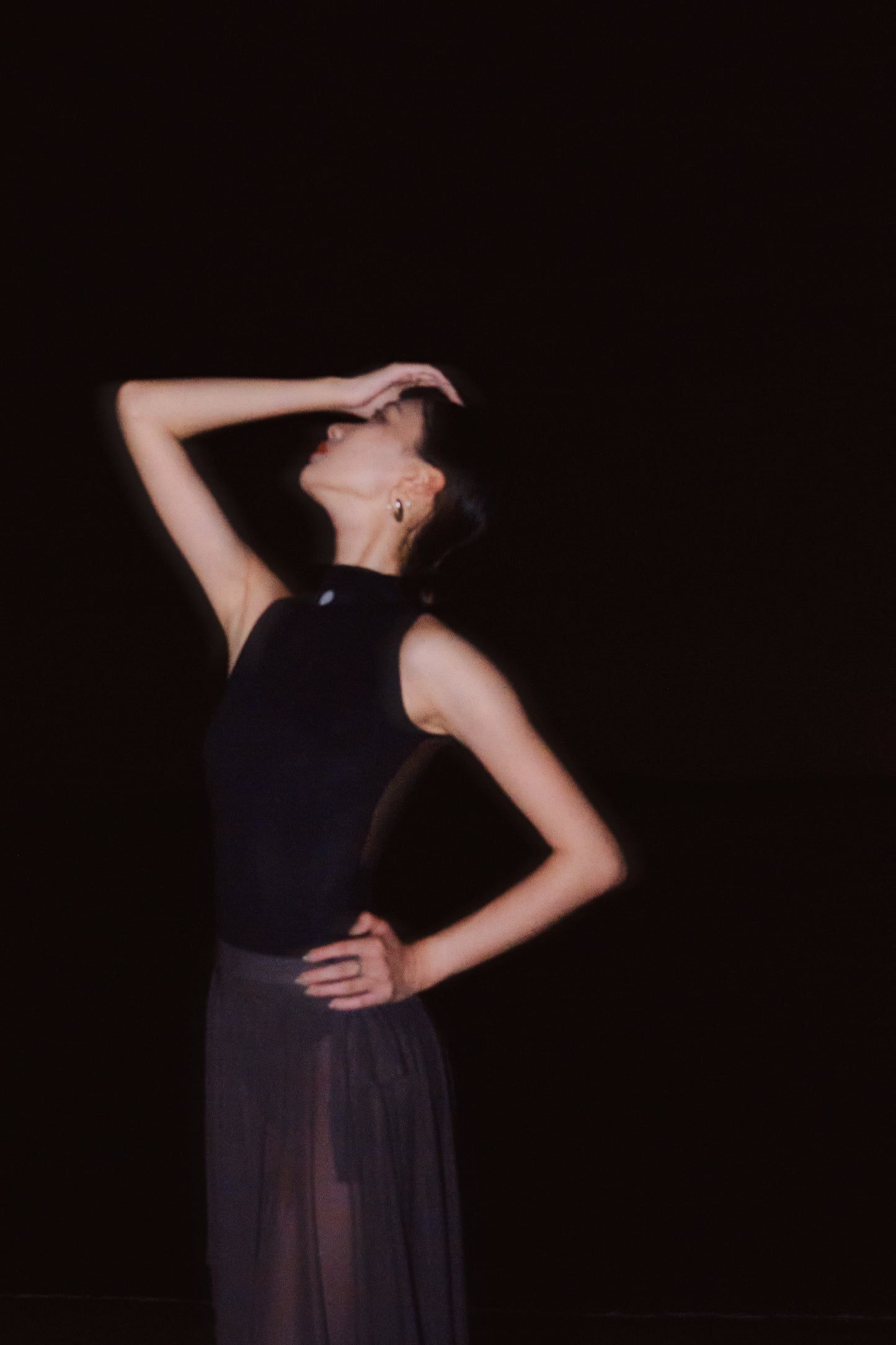 Full Moon High-Collar Leotard has a full-moon detail that is crafted with premium Japanese tulle