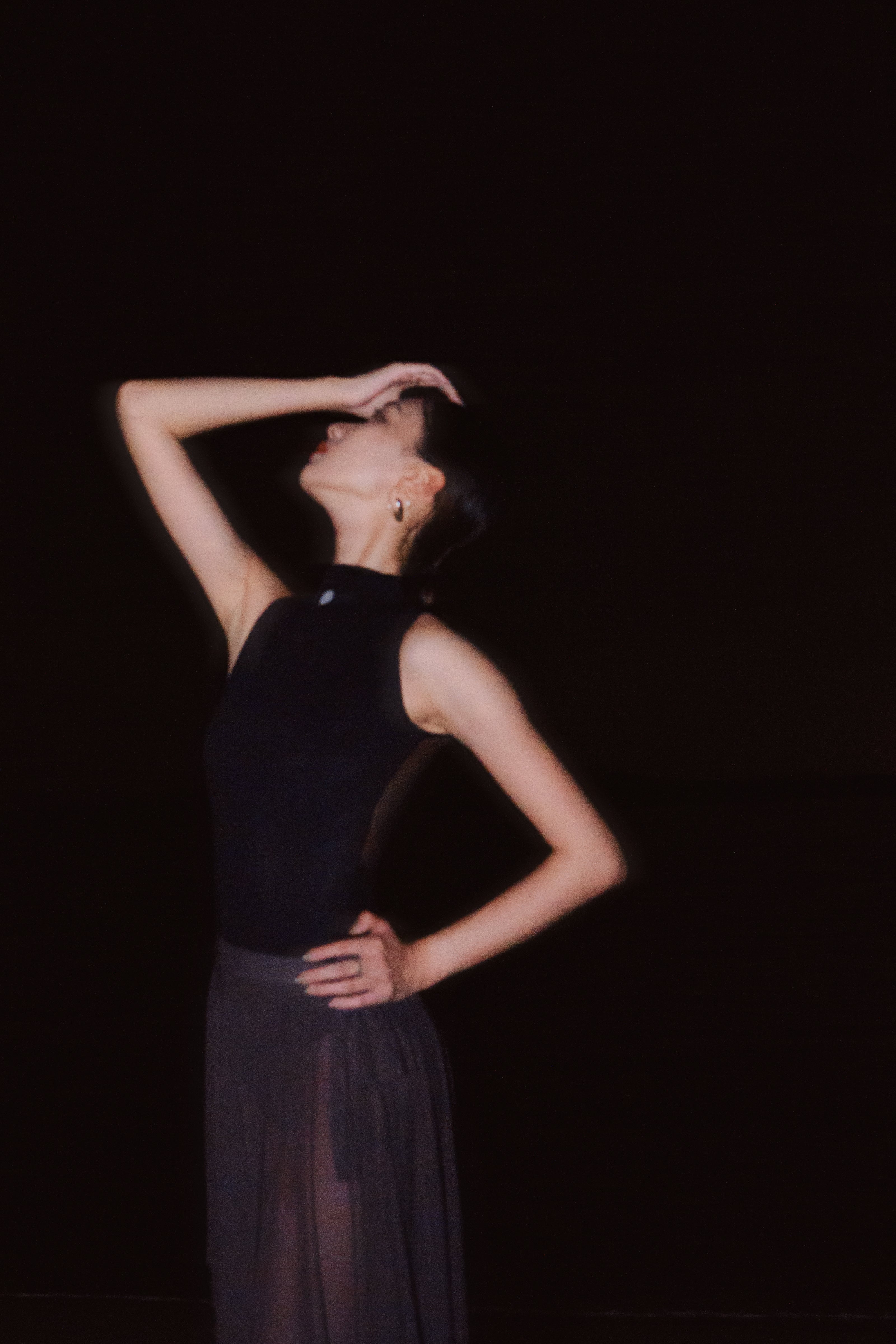 Full Moon High-Collar Leotard has a full-moon detail that is crafted with premium Japanese tulle